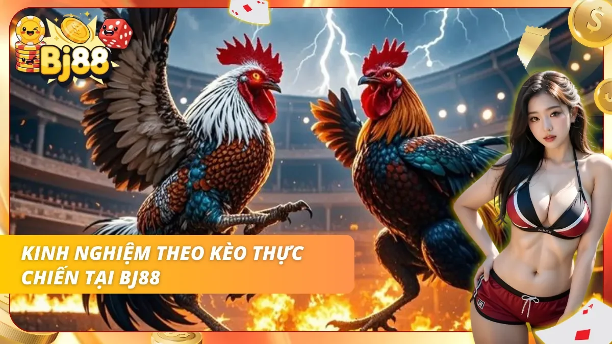 Cách theo kèo hợp lý giúp duy trì hiệu quả trong thời gian dài